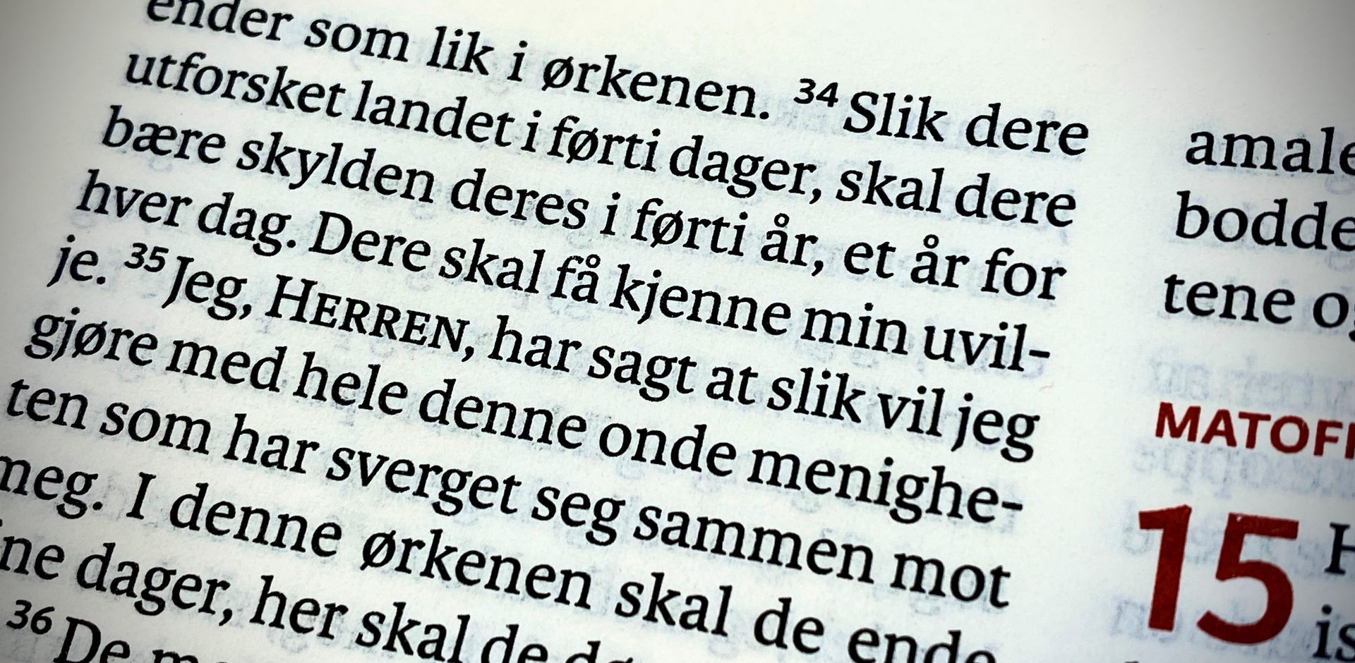Dag år prinsippet i fortolkning