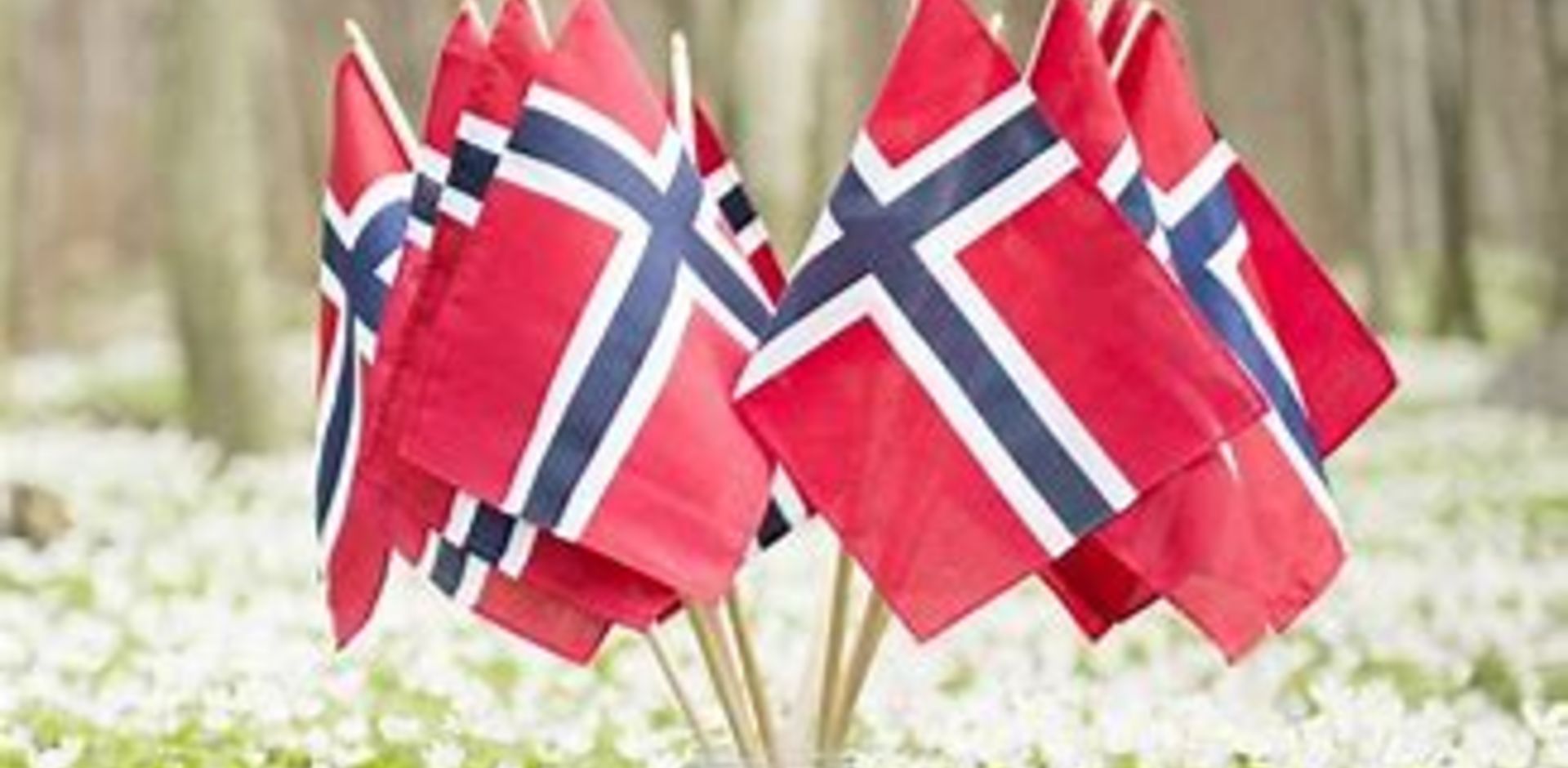 STOR 17. MAI FEST