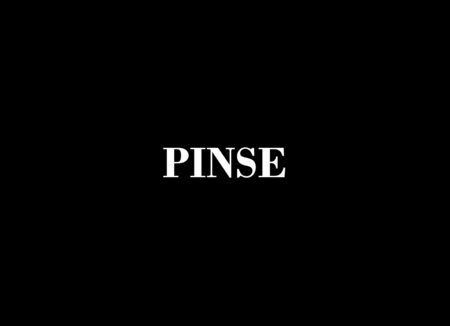 Hege Palmesen - Pinse