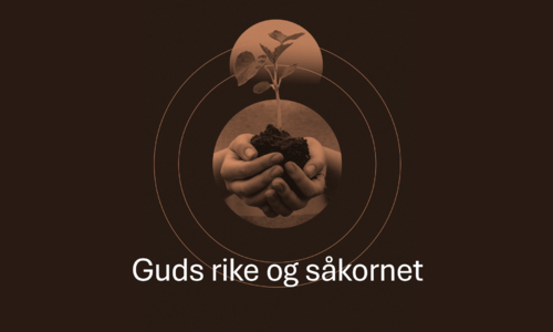 Rikard Røise - Guds rike og såkornet