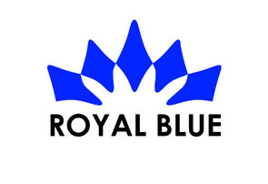Джинсовая одежда «ROYAL BLUE»