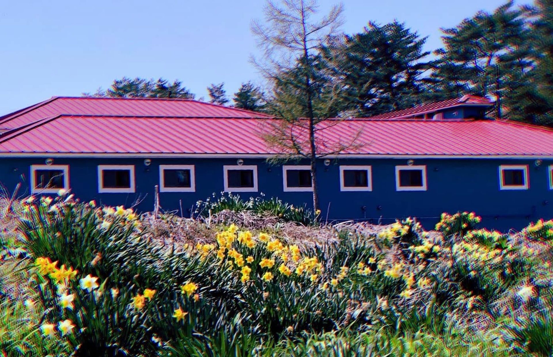 Nyoppussa Bethlehem Lodge.