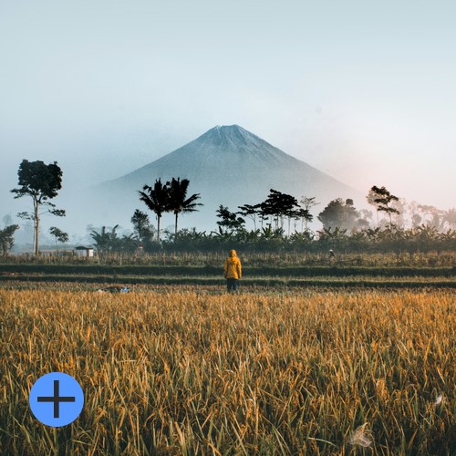 Fra pionertid til lokalt lederskap