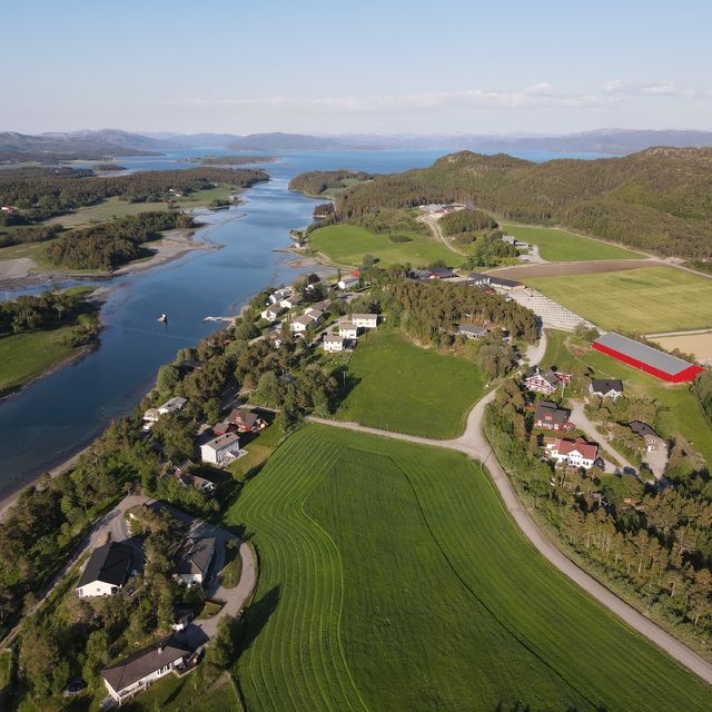 Ein framsynt skule med internasjonalt samarbeid