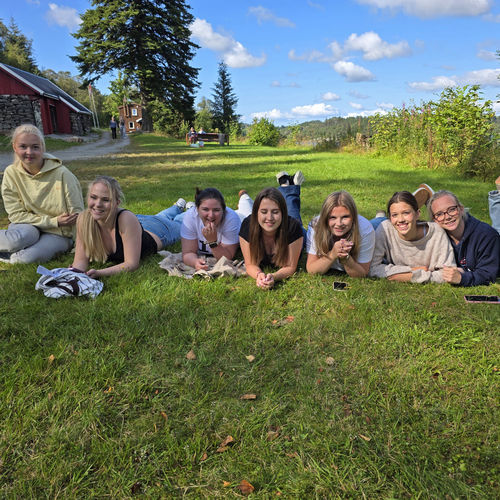 Tresifret på Haugalandet