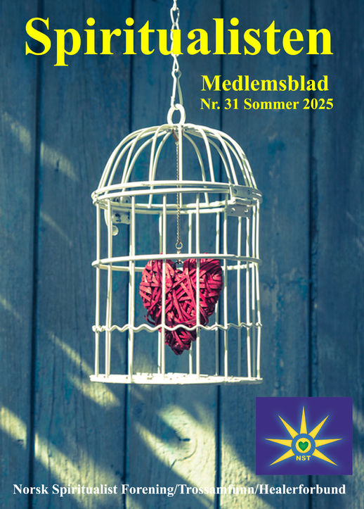 Medlemsblad 31