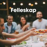 Alpha kurs