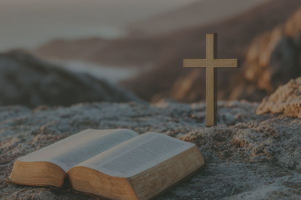 Semesterprogram 2026