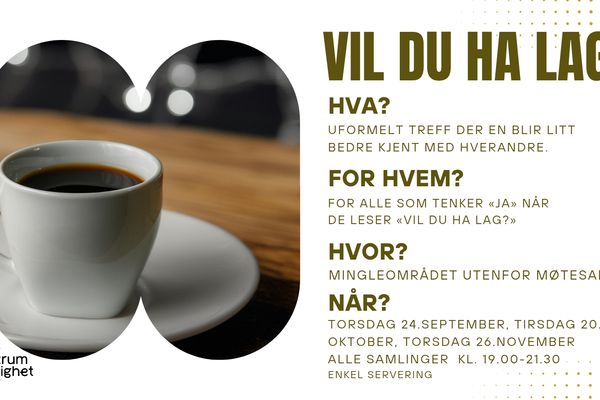 Vil du ha lag?