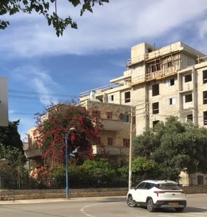 Innkalling og program for Årsmøtet i Venneforreningen Beit Skandinavia 2025