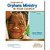 Launching an Orphans Ministry in Your Church: Paperback w/ DVD