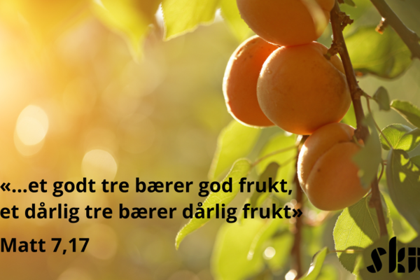 På fruktene skal dere kjenne dem