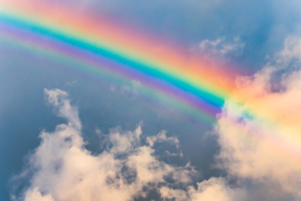 PROGRAM FOR PRIDE – JUNI 2025
