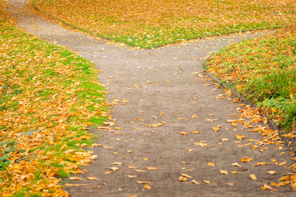 Skeiv bønn om en anstendig valgkamp