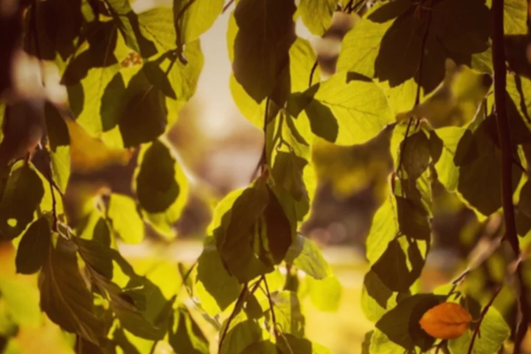 Workshop: Skeiv i kristne miljøer - en frigjøringsprosess