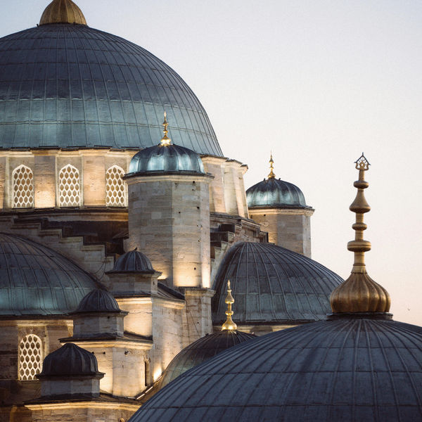 Støtt en medarbeider