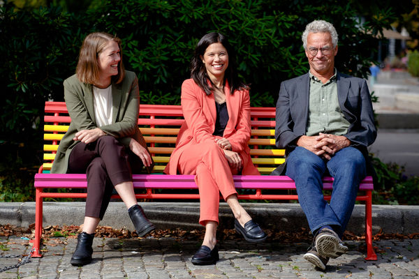 MDG søker rådgiver i valgkampen på kommunikasjon og politikk