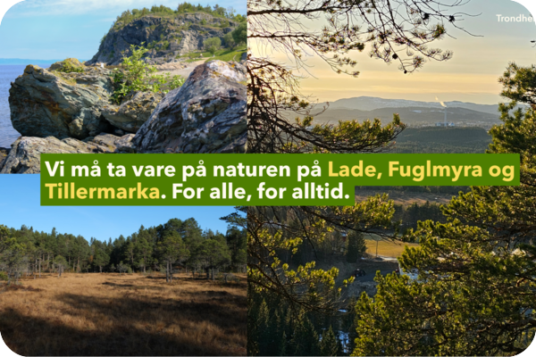 Redd Trondheims nærnatur