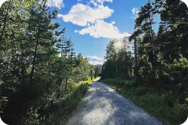 Redd naturen i Drammen