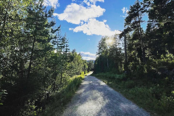 Redd naturen i Drammen