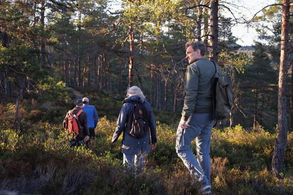 – En renessanse for norsk naturvern