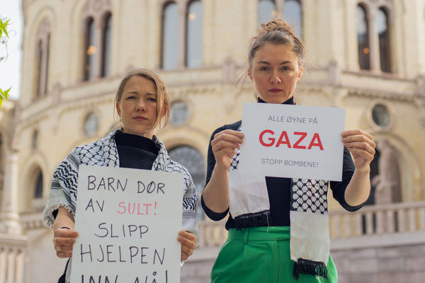 Solidaritet med palestinerne