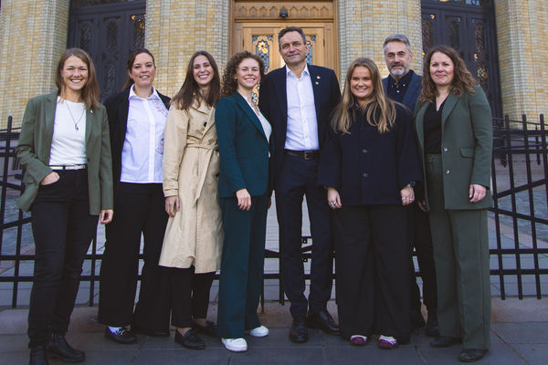 Disse komiteene skal MDGs stortingsrepresentanter sitte i 