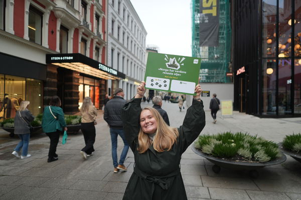 Melkøya bør ikke få strømmen i Finnmark
