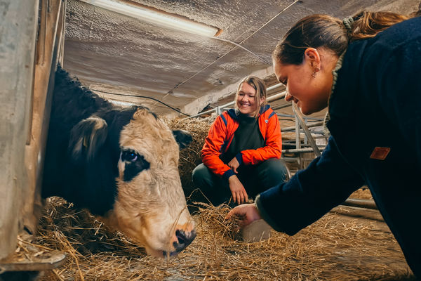 – Forby privat oppskytning av fyrverkeri