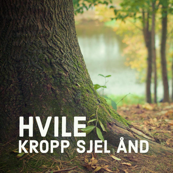 HVILE i Bergen 02.09.25