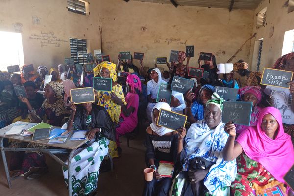 Bursdagsinnsamling for Lys over Land