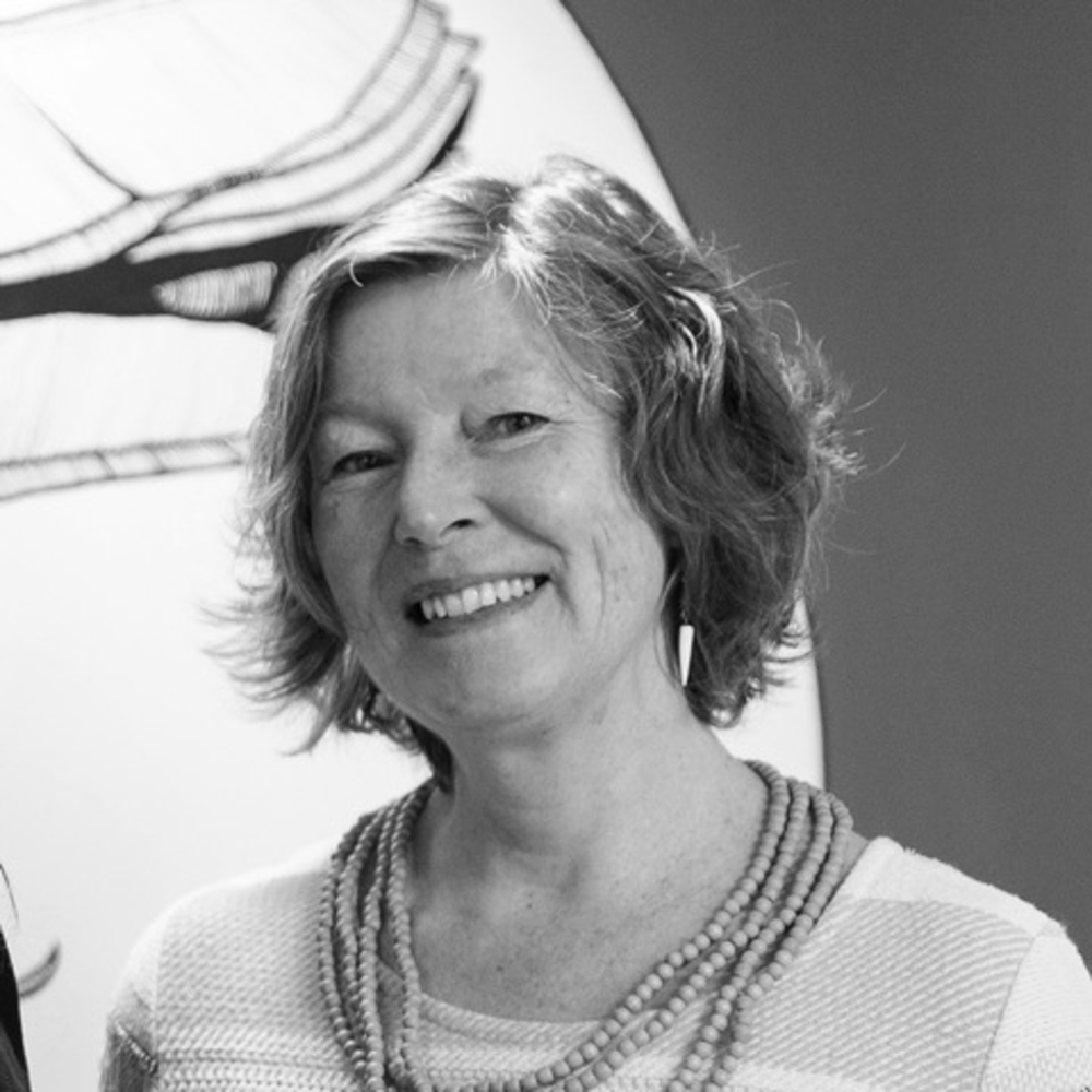 Velkommen til seminar om barneperspektiv i barnepalliasjon