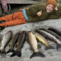 Gratis garnfiske