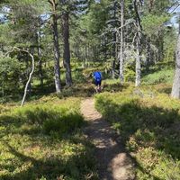 Åsanerunden med 38 deltakere