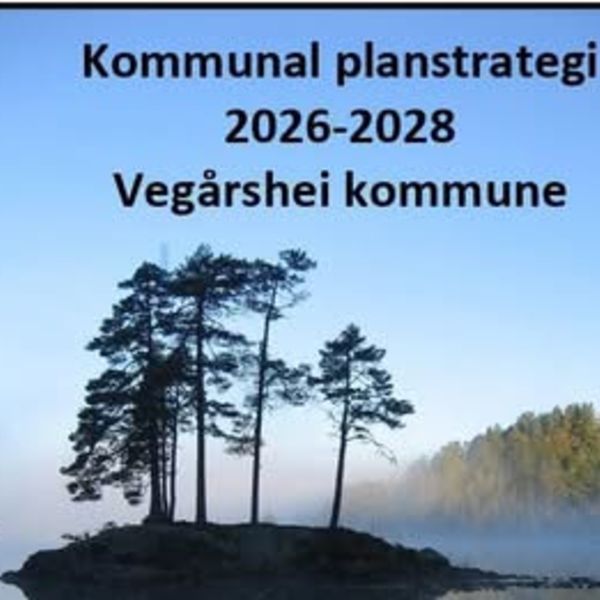 Gi tilbakemelding til kommunen