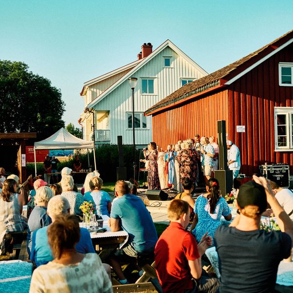 Storslagen sommerfest i Myraparken