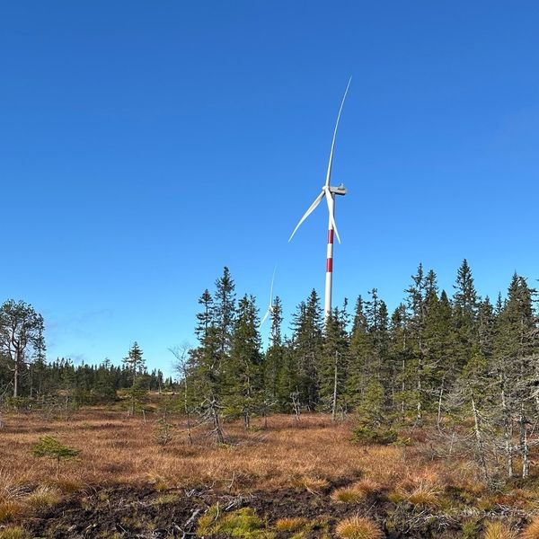 Vindkraft - prosess og utredning