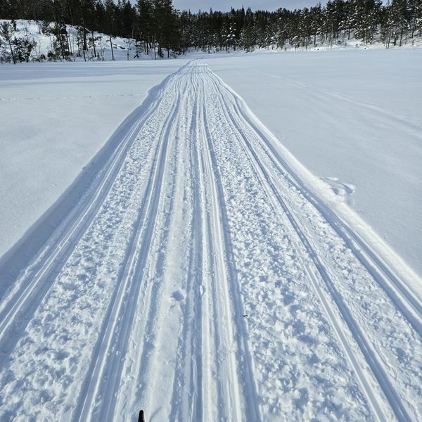 Flotte forhold til Vedlaus