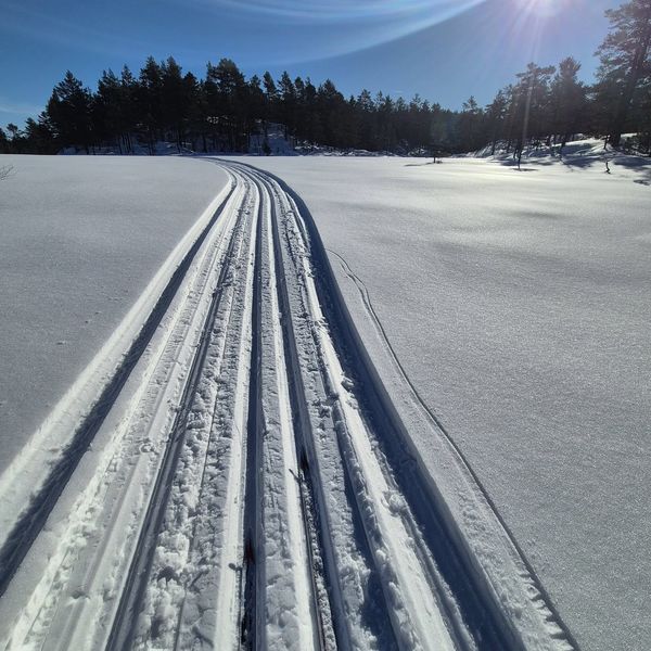 Skiløype i Vestbygda