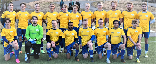 6.div. avd 4 Vegårshei seniorlag