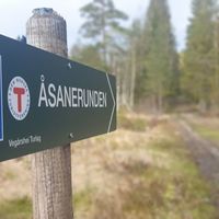 Anders Vestøl best i Åsanerunden