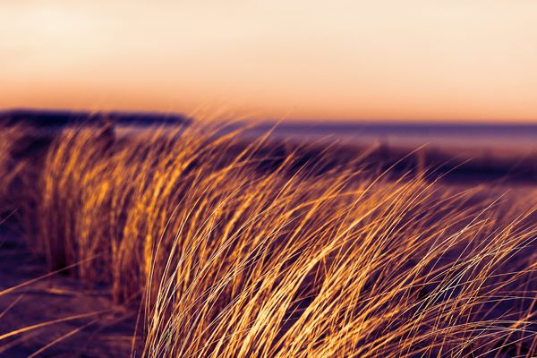 Baltic Leaders Retreat – March 30–31