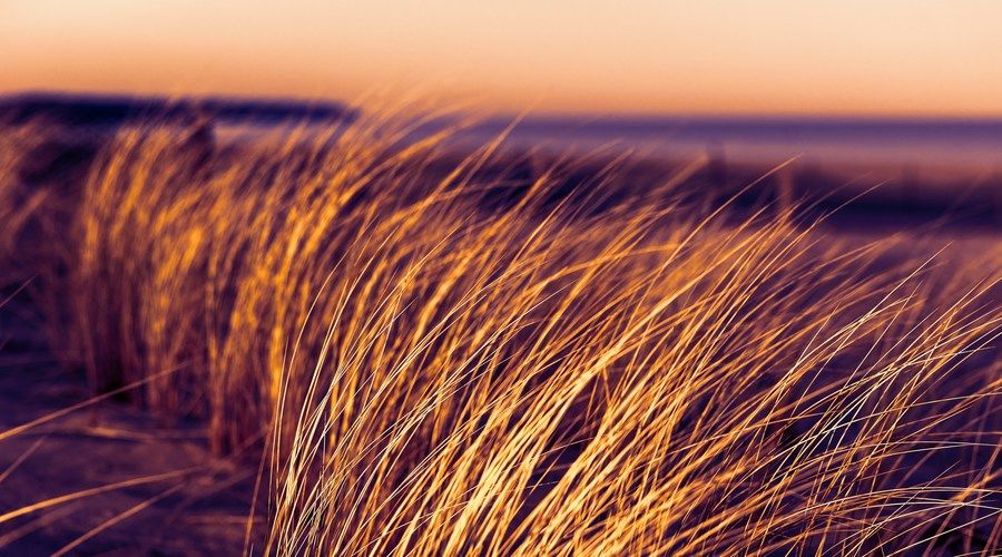 Baltic Leaders Retreat – March 30–31