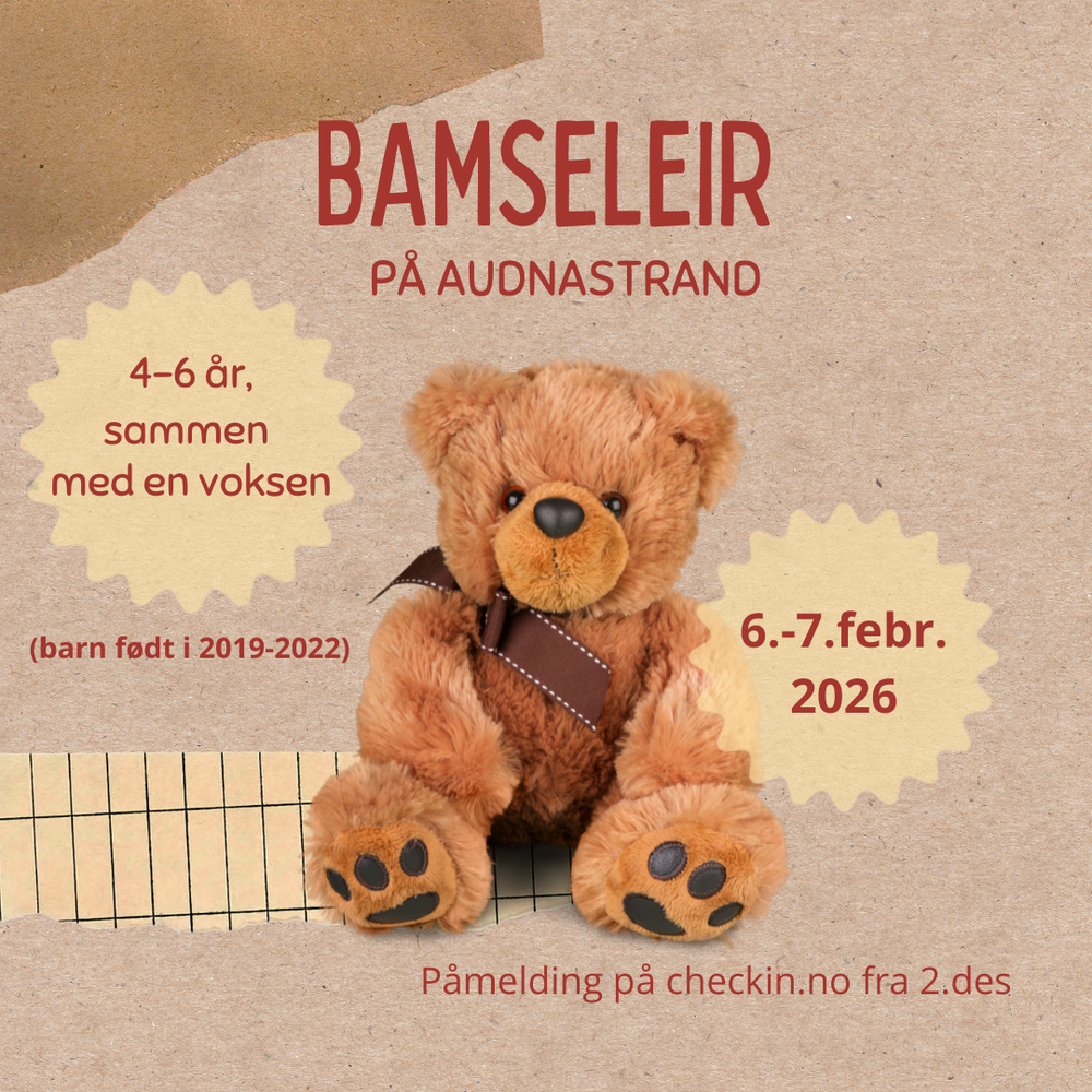 Bamseleir på Audnastrand