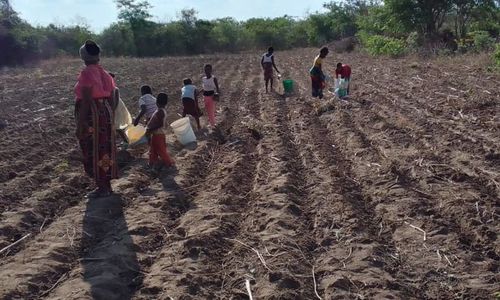Barna i Chipembi planter framtid og tro