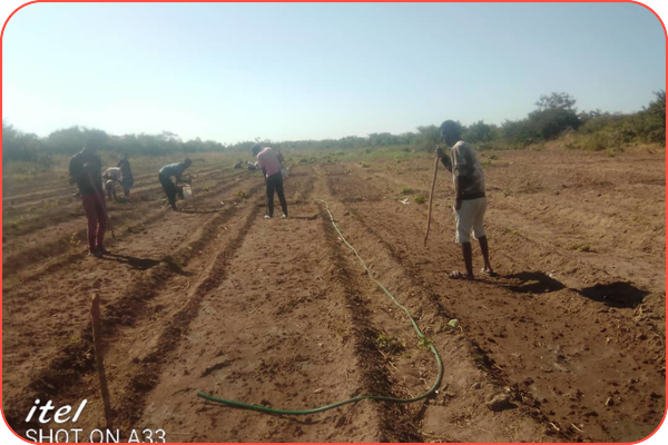 Fattigdoms­bekjem­pelse i praksis