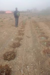 Når Jorden Bærer Frukt – Et Vitnesbyrd fra Zambia