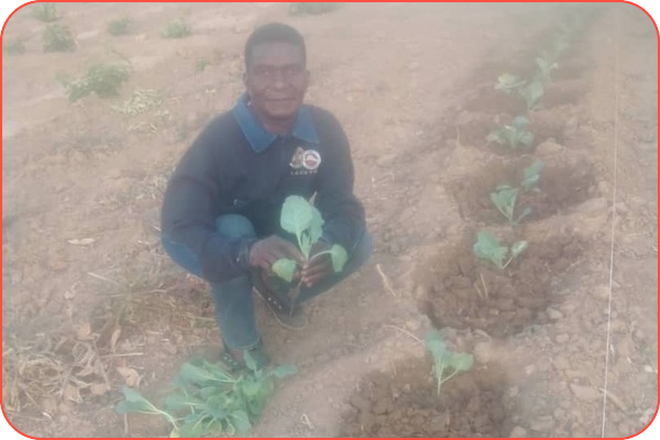 Når Jorden Bærer Frukt – Et Vitnesbyrd fra Zambia