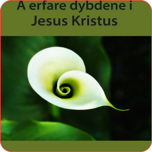 Å erfare dybdene i Jesus Kristus – bok