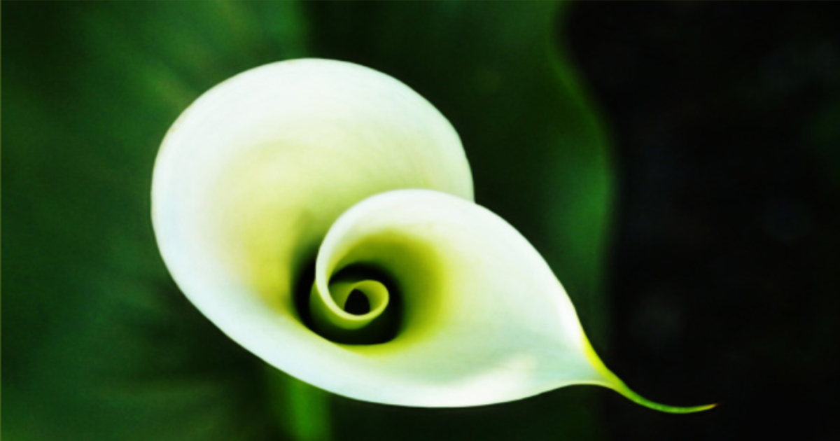 Å erfare dybdene i Jesus Kristus – bok